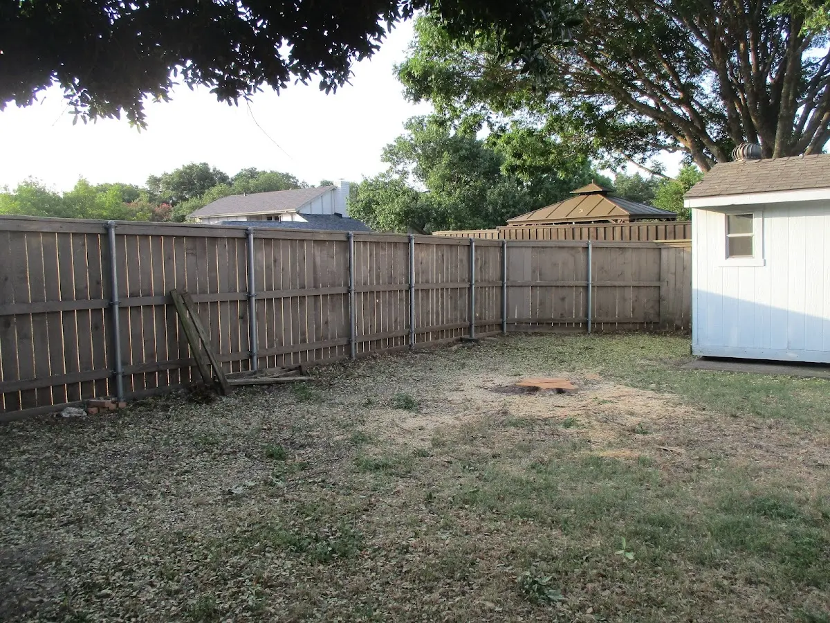 Cleared yard after professional tree removal in Waialua